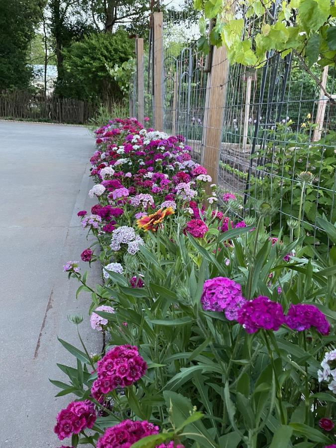 Gillen House Bed And Breakfast Maxeys エクステリア 写真
